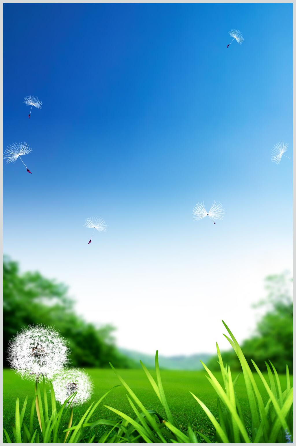 蒲公英蓝天风景图片素材
