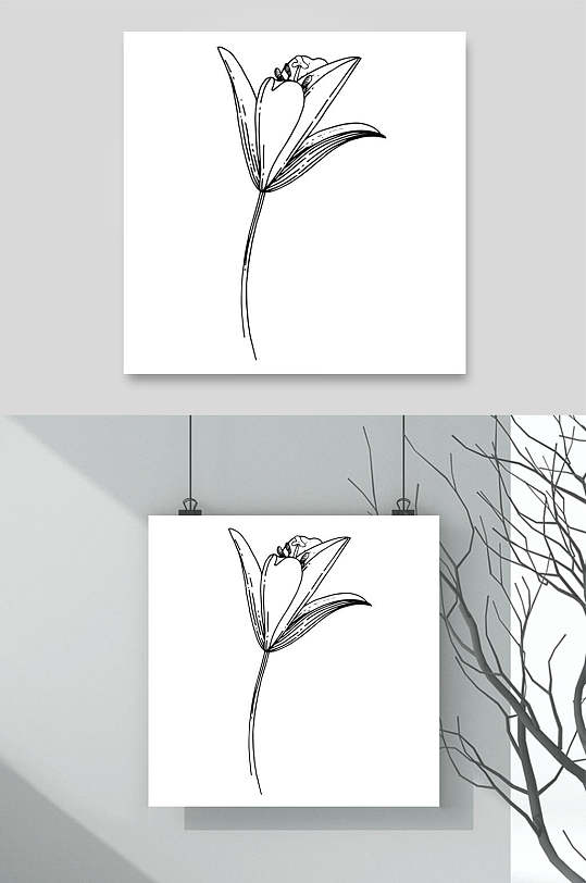 铅笔线条植物白描速写矢量素材