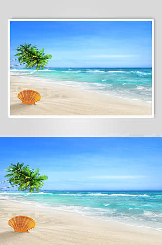 沙滩贝壳蓝天风景图片