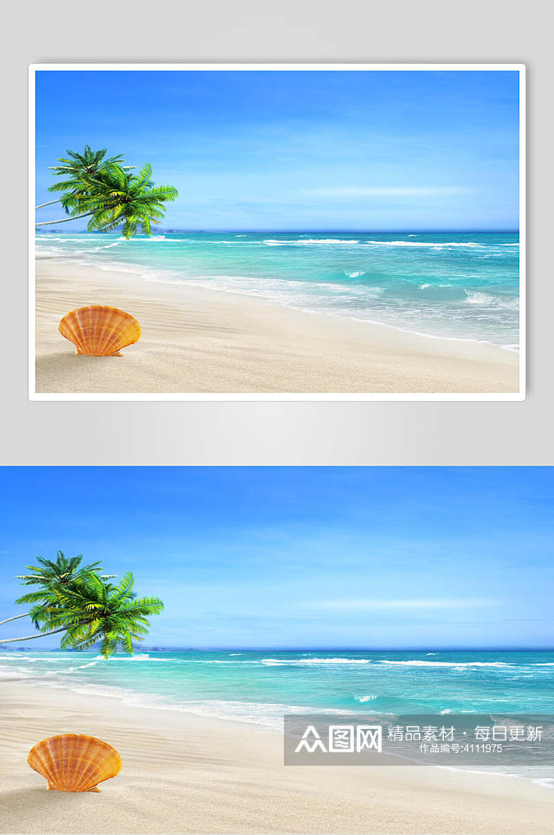 沙滩贝壳蓝天风景图片素材