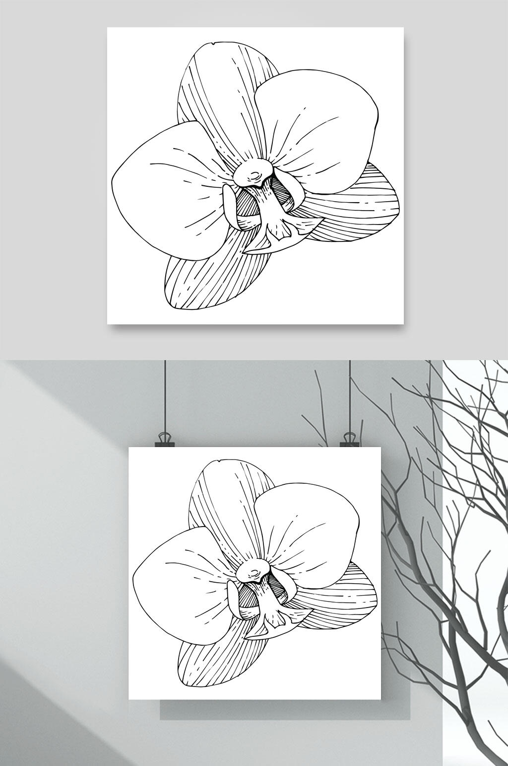 铅笔手绘植物白描速写矢量素材素材