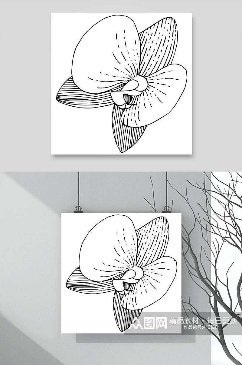 蝴蝶花植物白描速写矢量素材素材