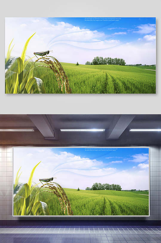 绿色创意农业粮食背景-众图网