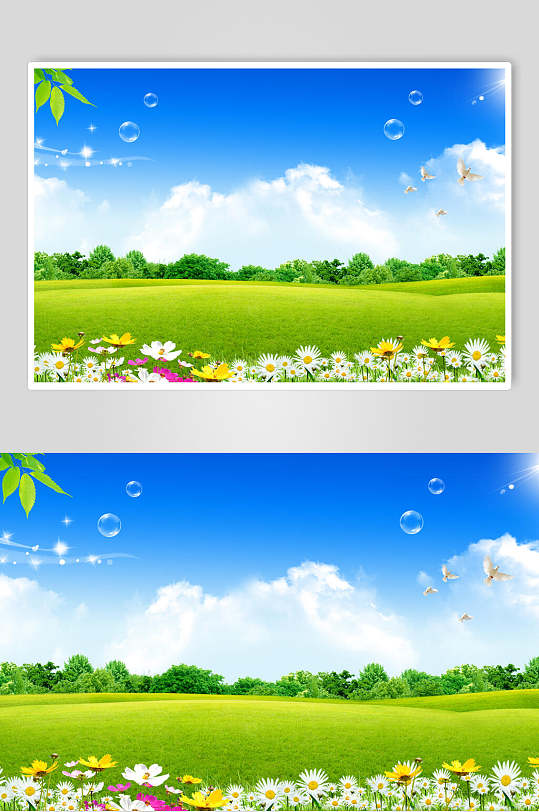 小菊气泡蓝天风景图片