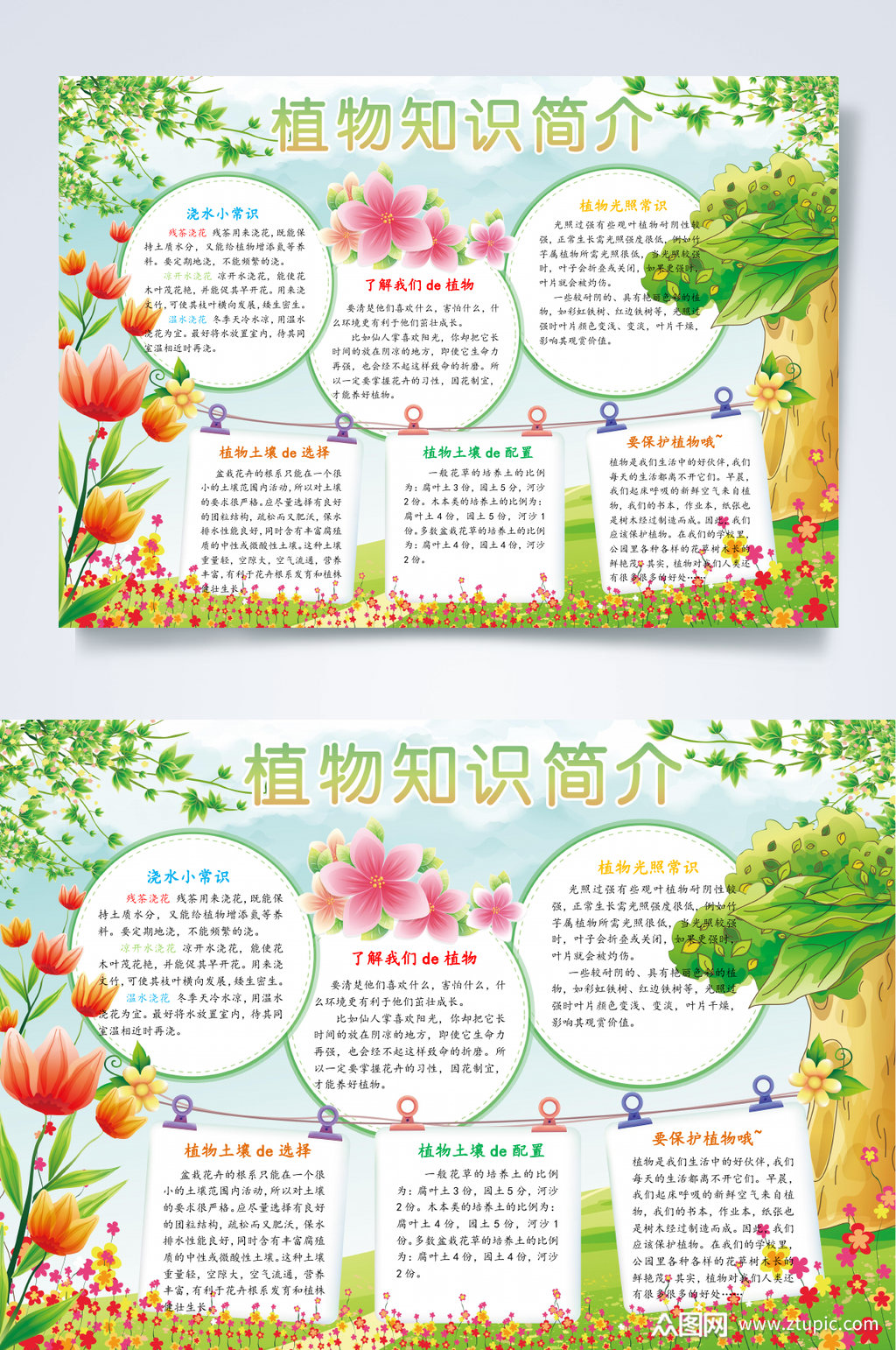 植物知识简介植物常识小报word