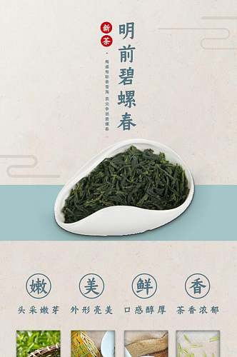 明前碧螺春茶叶详情页