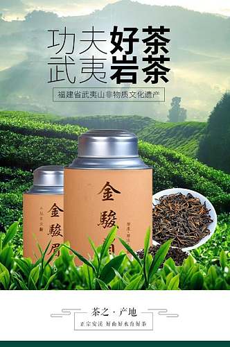 大气武夷岩茶茶叶详情页