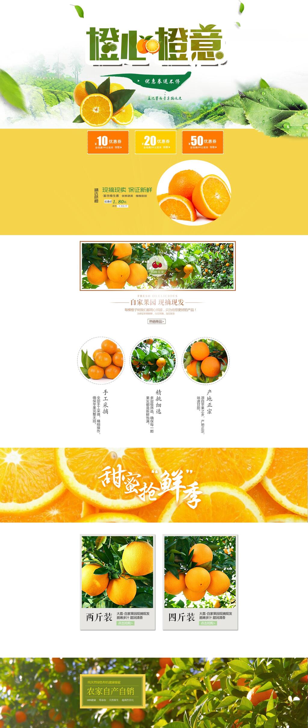 橙子水果电商首页素材