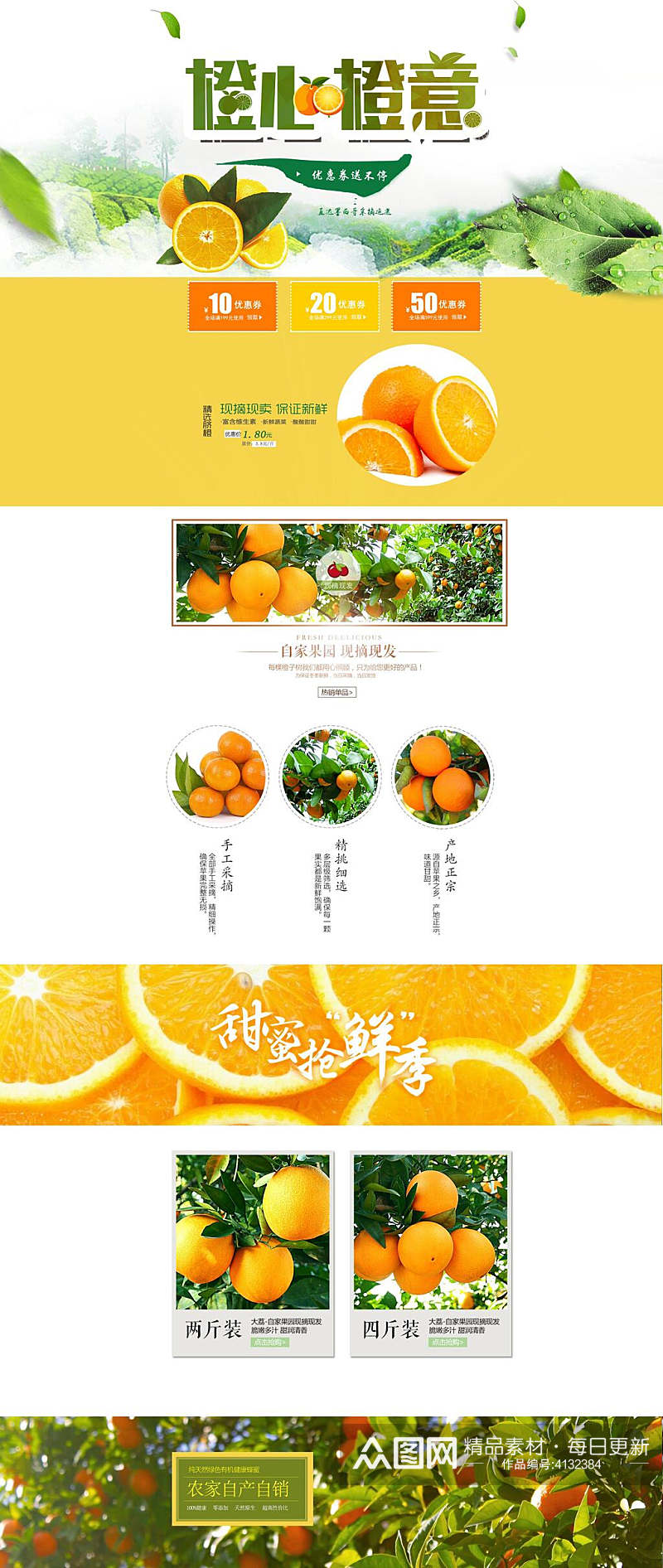 橙子水果电商首页素材