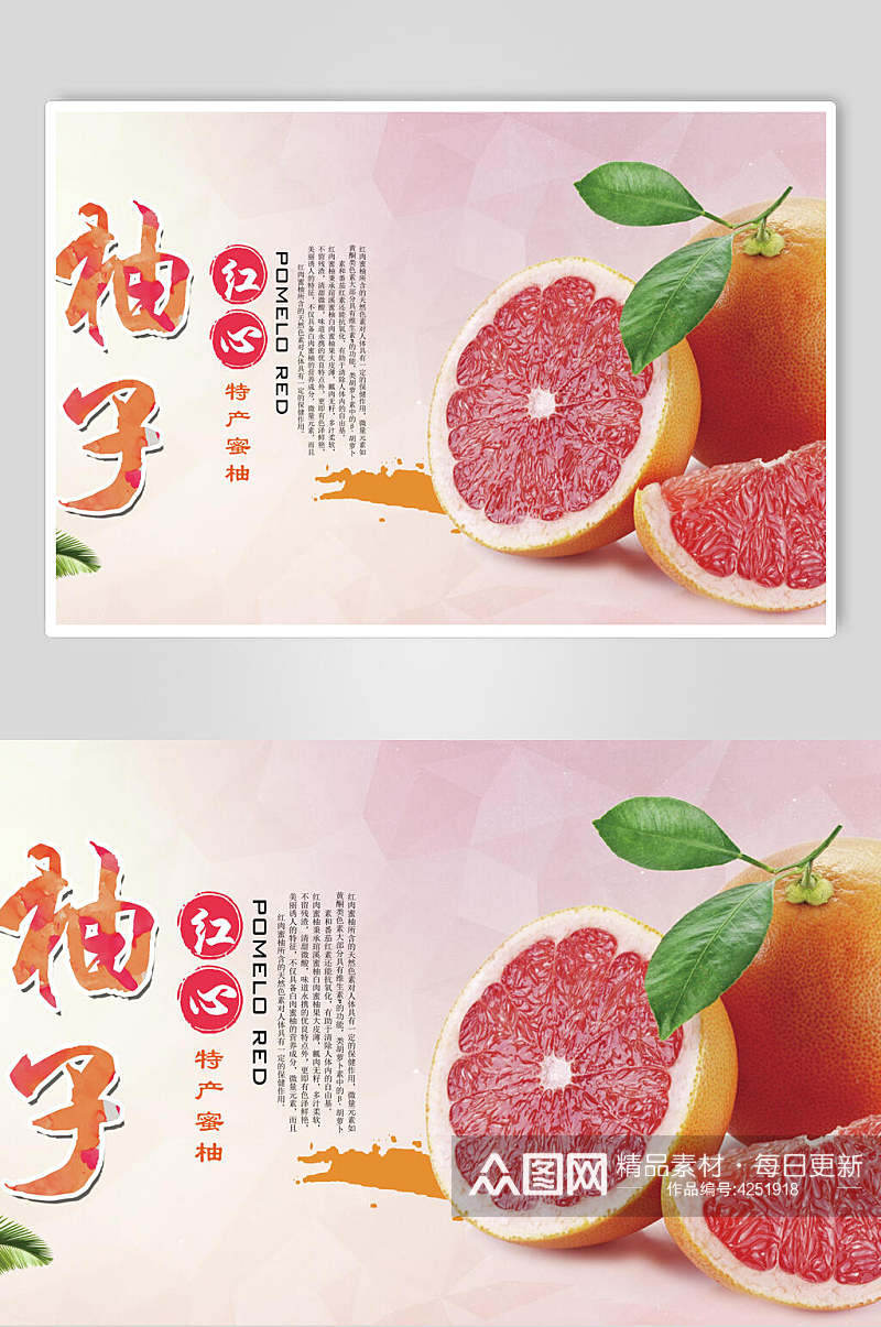 柚子水果展板素材