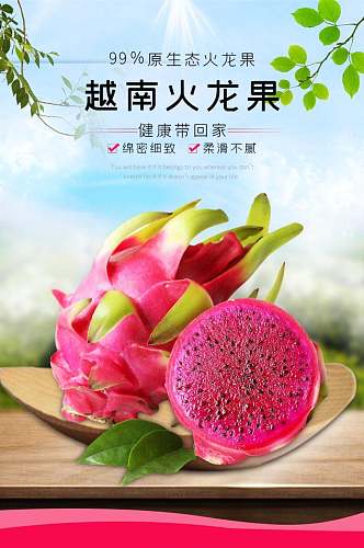 越南火龙果水果详情页