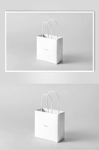 纯白八角纸袋手提包装袋样机