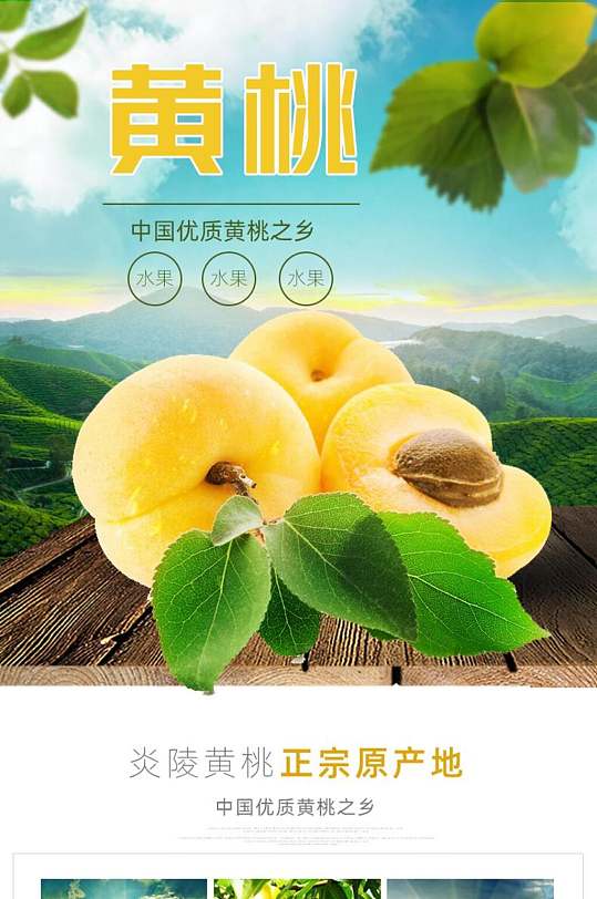 黄桃水果详情页