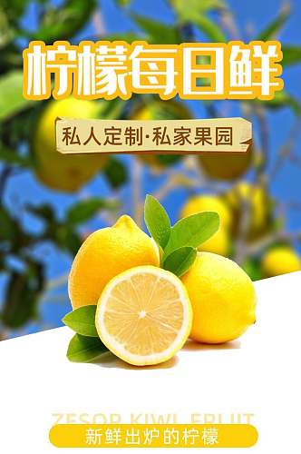 柠檬每日鲜水果详情页