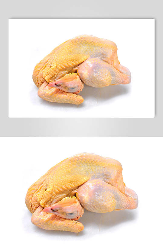 三黄鸡鸡肉食品摄影图片