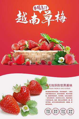 越南草莓水果详情页