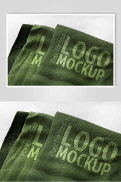 英文字母绿布料材质LOGO样机
