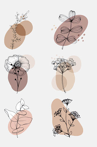 不规则圆形图案花卉线条插画免抠素材
