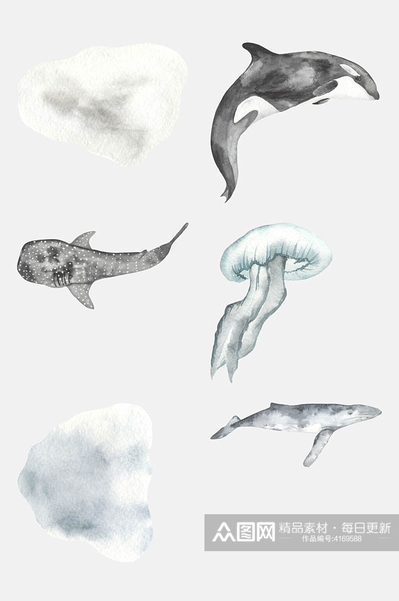银色海豚水母海底生物免抠素材素材