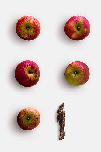 苹果树皮植物水果带阴影免抠素材