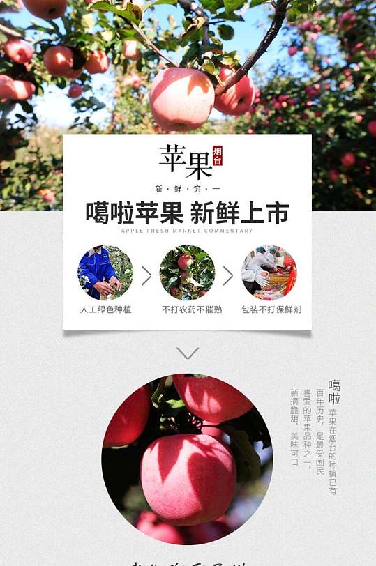 嘎啦苹果水果手机版详情页