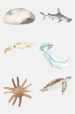 海星乌龟水母海底生物免抠素材