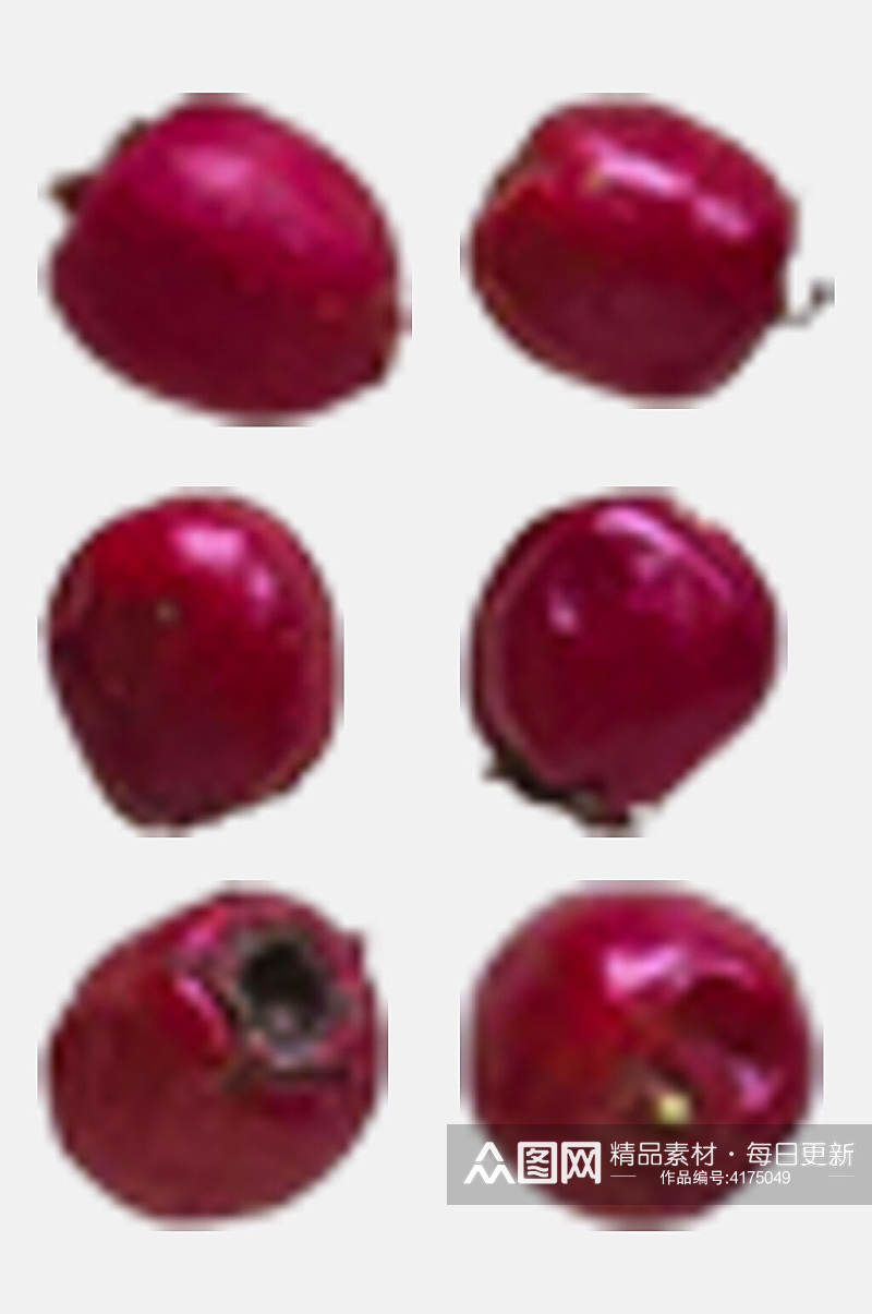 红色水果秋季植物树木水果免抠素材素材