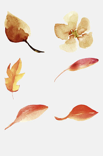 叶子手绘水彩花卉叶子免抠素材