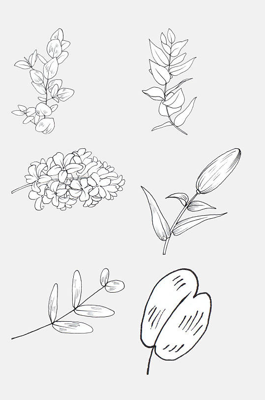 一支百合花骨朵花卉线条插画免抠素材