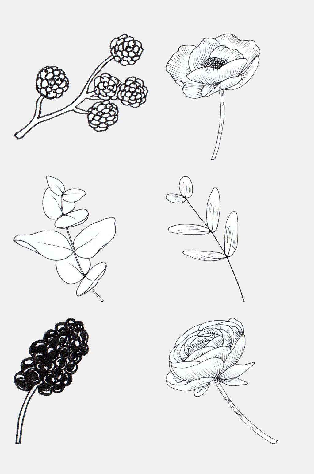 松果黑线条花卉植物插画免抠素材素材