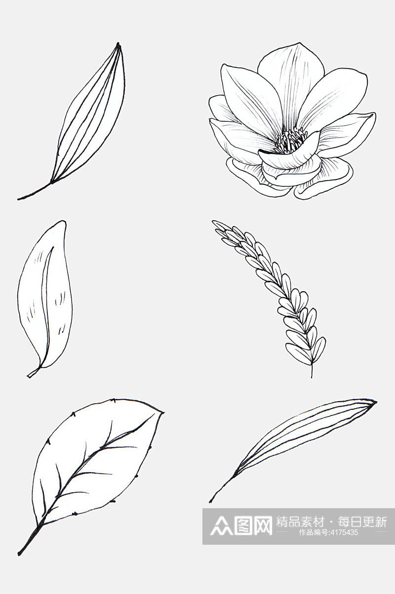 简笔画树叶花卉线条插画免抠素材素材