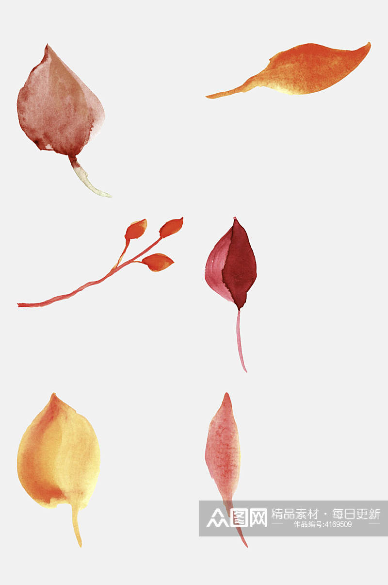 叶子手绘水彩花卉叶子免抠素材素材