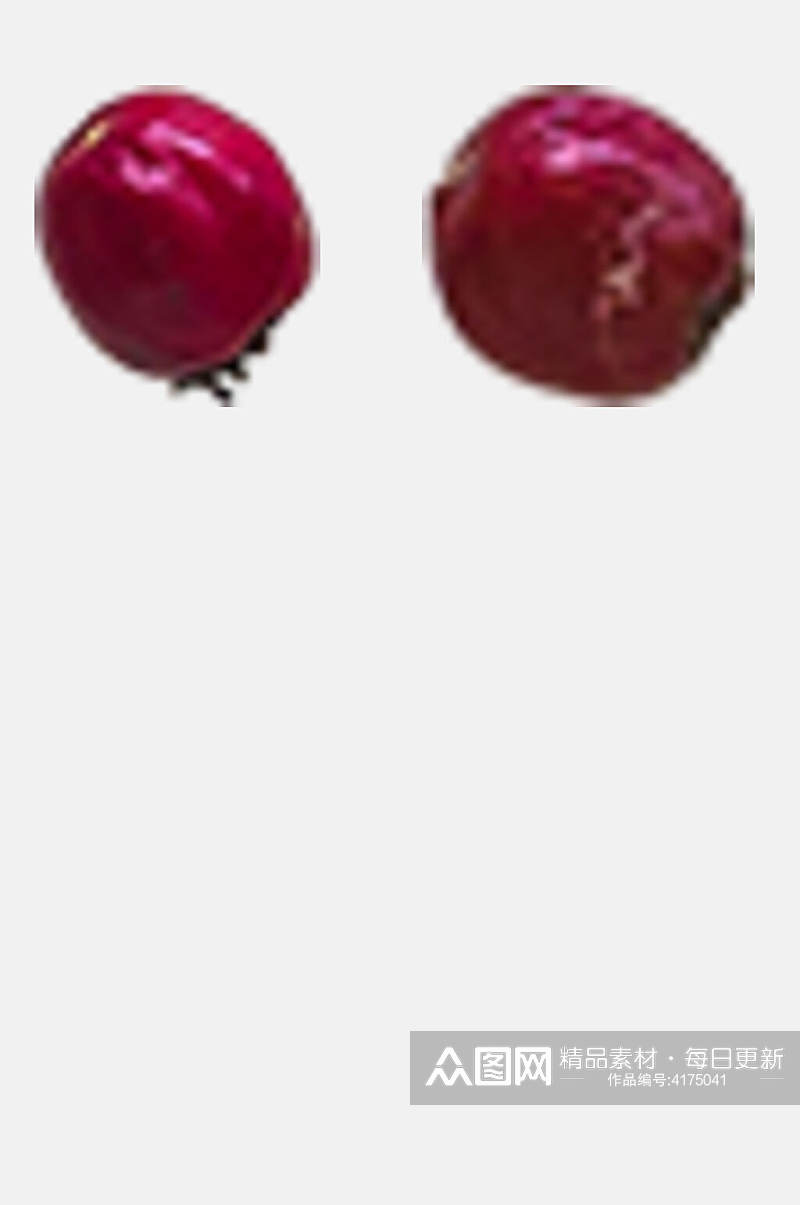 红色果实秋季植物树木水果免抠素材素材