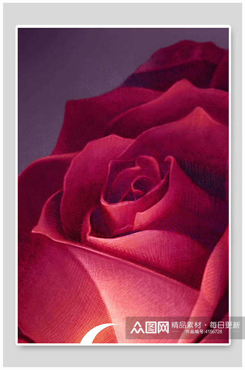 玫瑰花月亮红色女神节海报背景素材