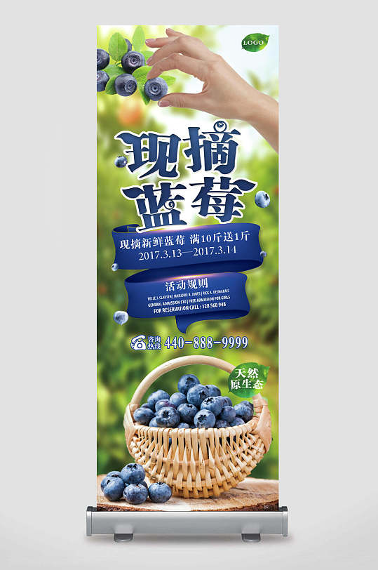 鲜摘蓝莓水果促销宣传展架