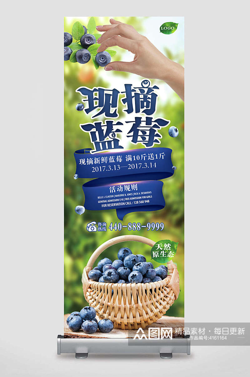 鲜摘蓝莓水果促销宣传展架素材