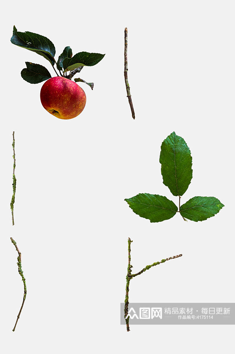 绿色树叶苹果秋季植物树木水果免抠素材素材