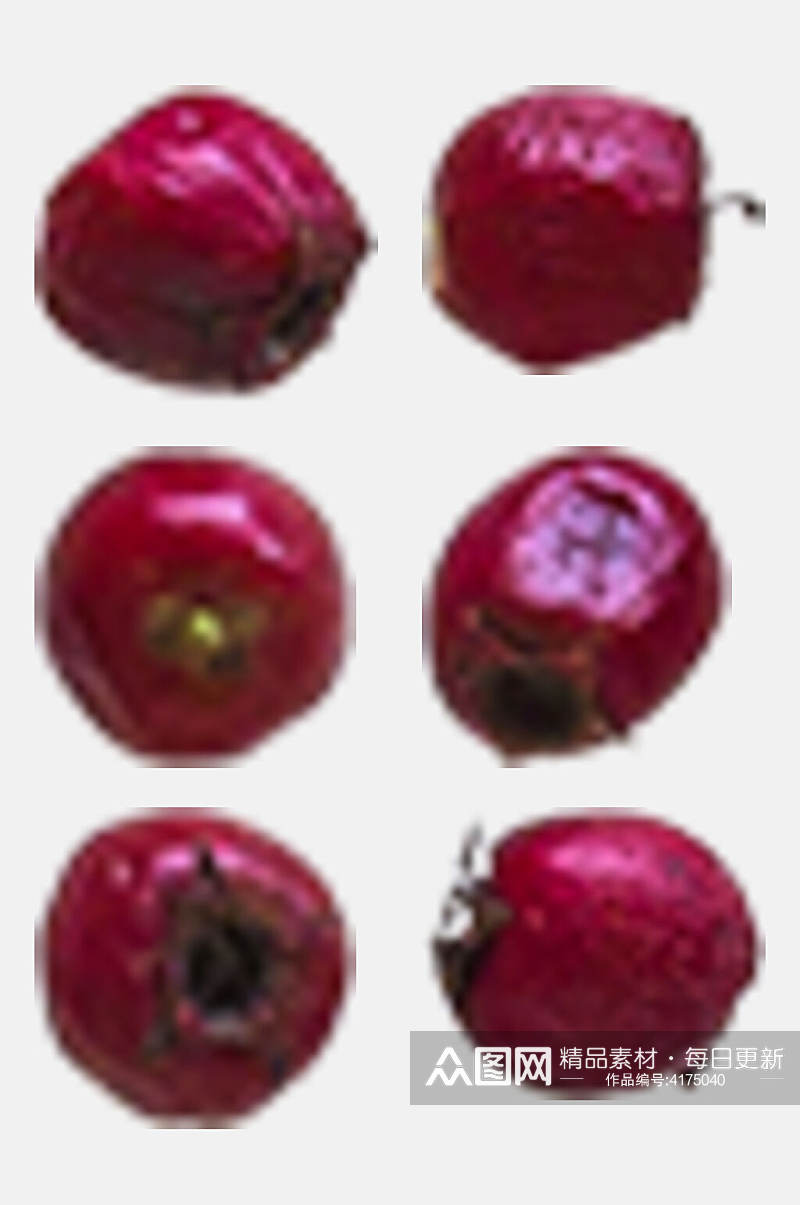 红色果实水果秋季植物树木水果免抠素材素材