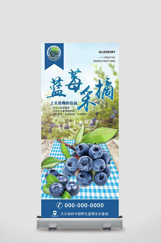 蓝莓采摘水果促销宣传展架