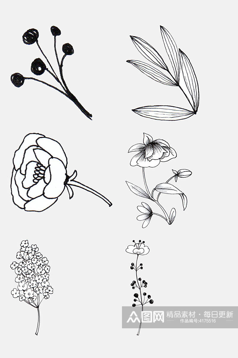 一束小碎花花卉线条插画免抠素材素材