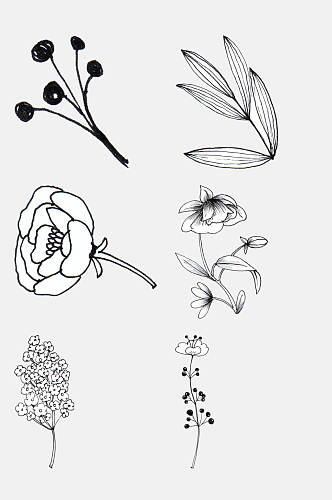 一束小碎花花卉线条插画免抠素材