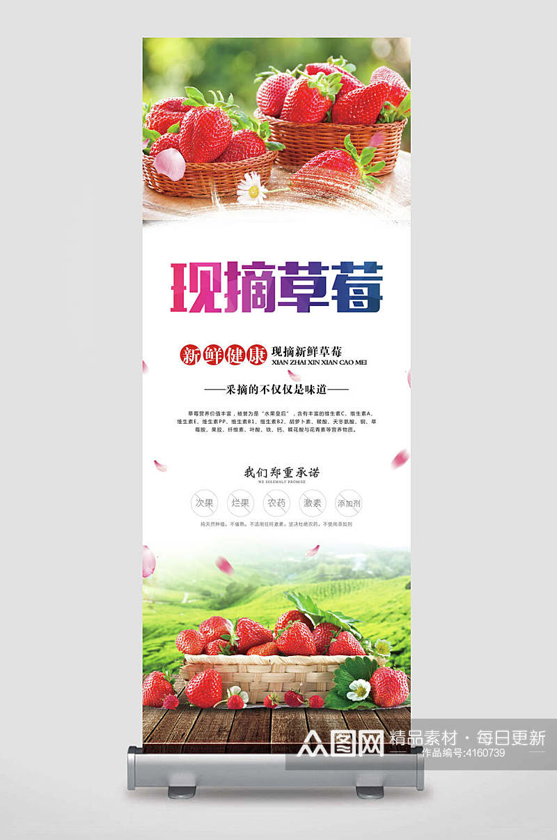 鲜摘草莓水果促销宣传展架素材
