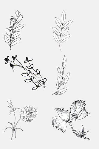 带花骨朵的盛开的花卉线条插画免抠素材