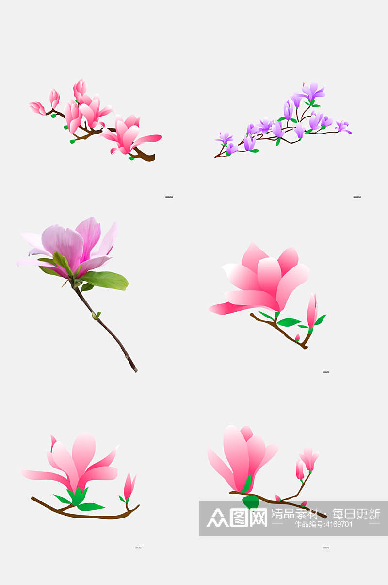 树枝叶子粉玉兰花花朵免抠素材素材