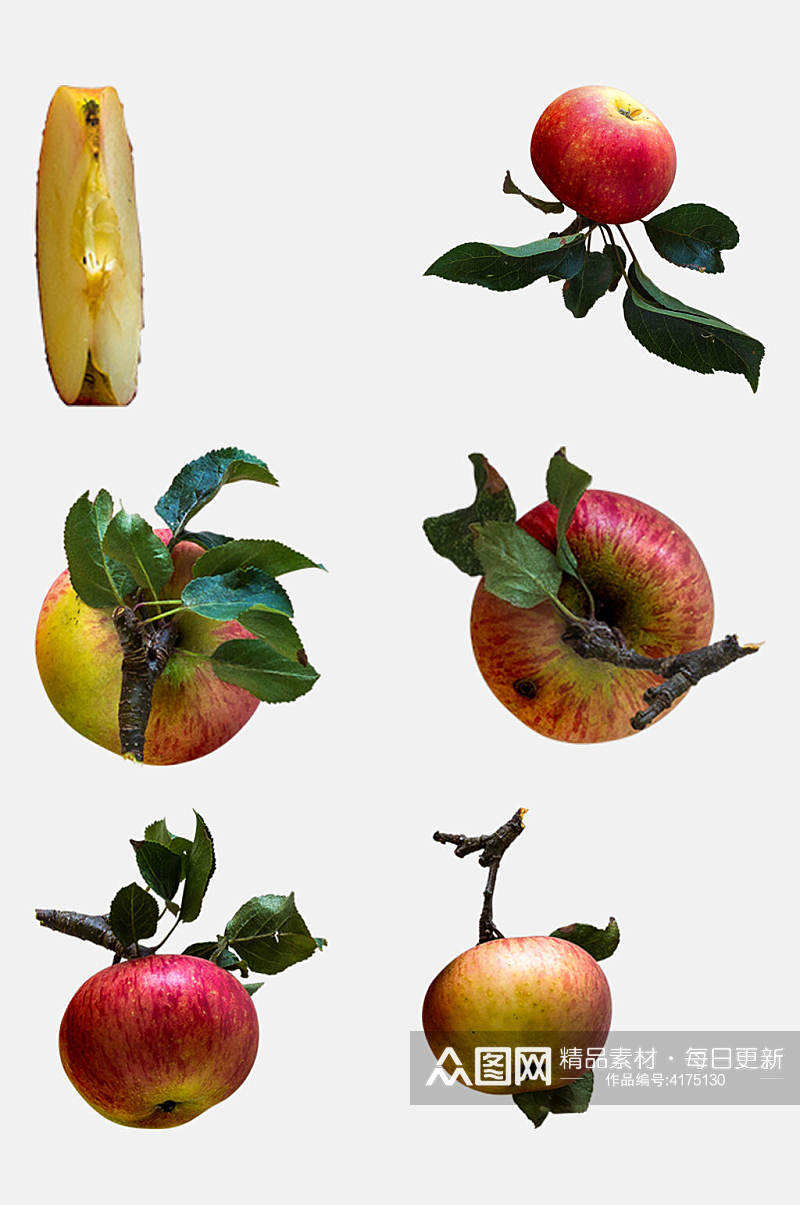 带叶子的苹果秋季植物树木水果免抠素材素材