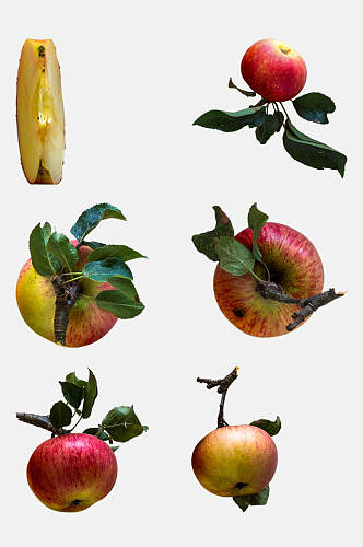 带叶子的苹果秋季植物树木水果免抠素材