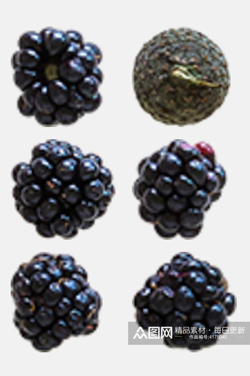 高端水果树莓秋季植物树木水果免抠素材素材
