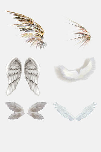 素雅高端创意天使翅膀羽毛免抠素材
