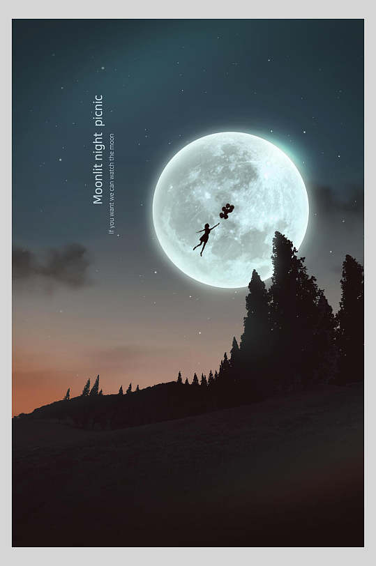 美丽的月球海报