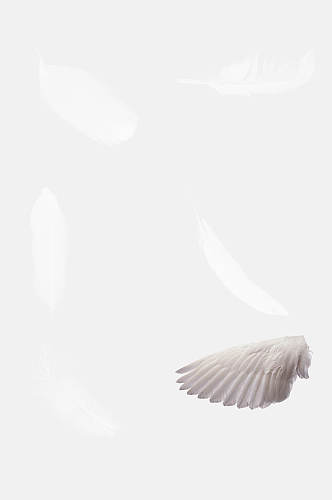 白色简约时尚天使翅膀羽毛免抠素材